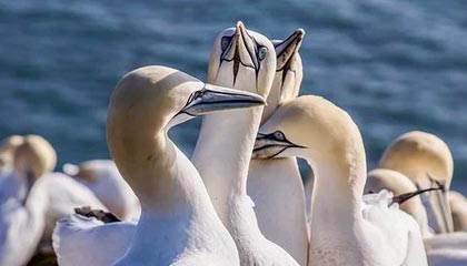 九游下载安装-英超精彩逆转，关键战术调整助力胜利，英超战术分析